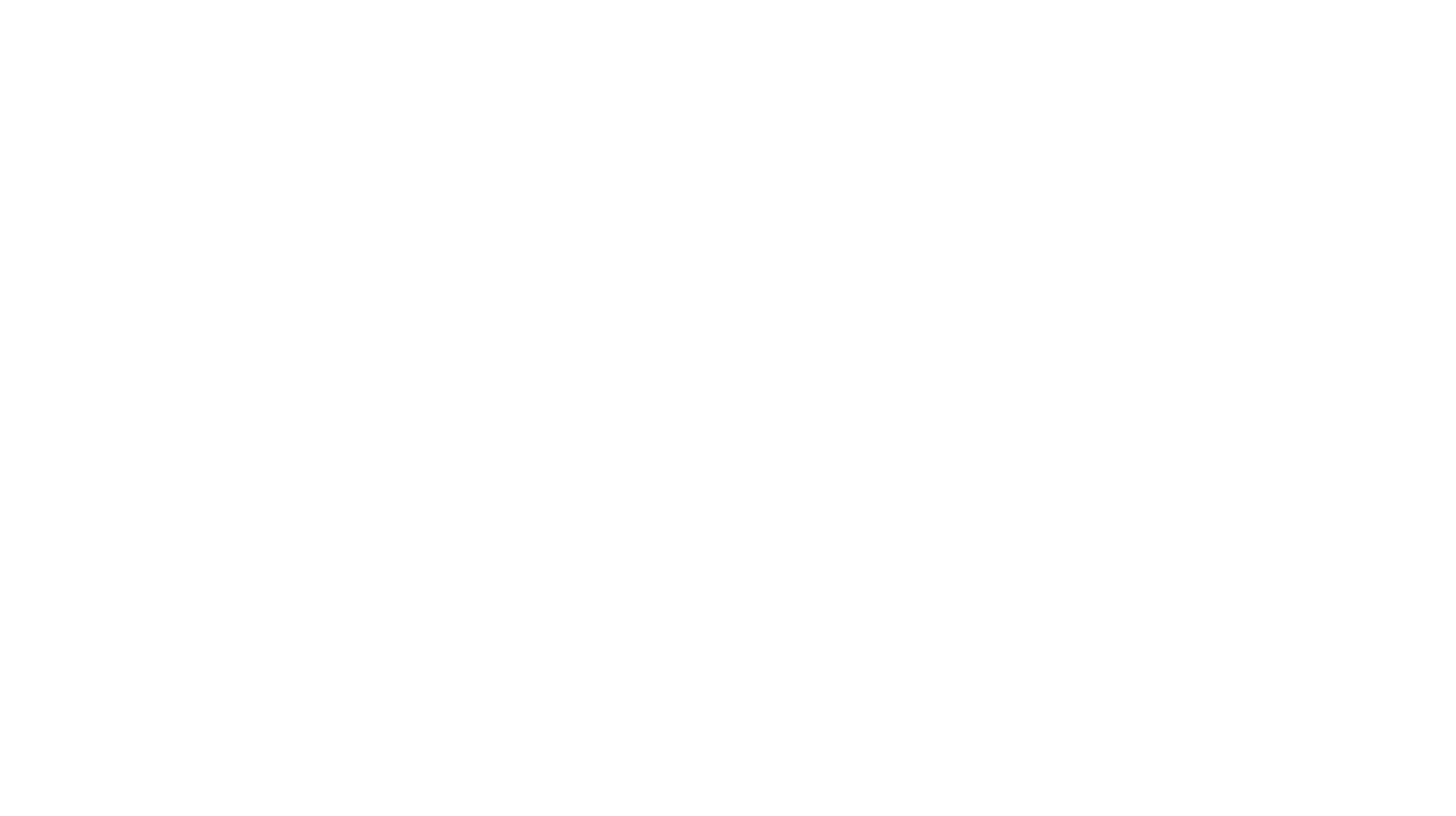 Space X logo